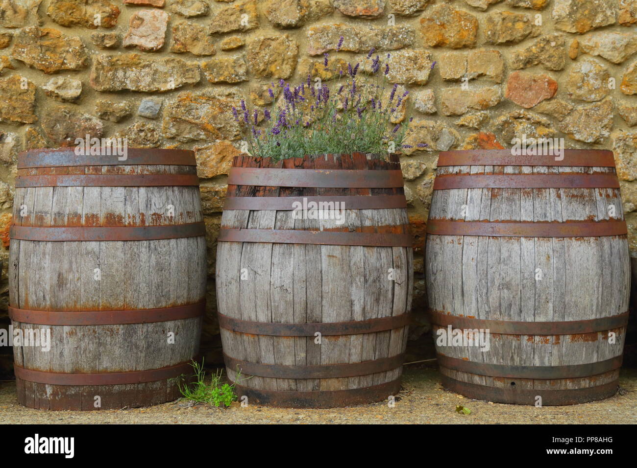 Vecchi barili come fiore decorativo pot Foto Stock