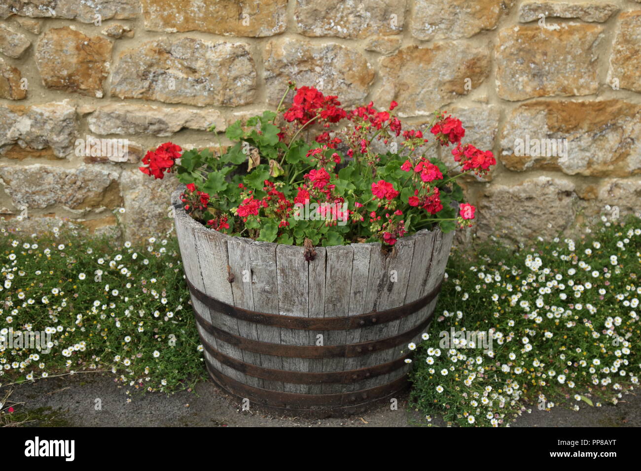 Un barile vecchio come fiore decorativo pot Foto Stock