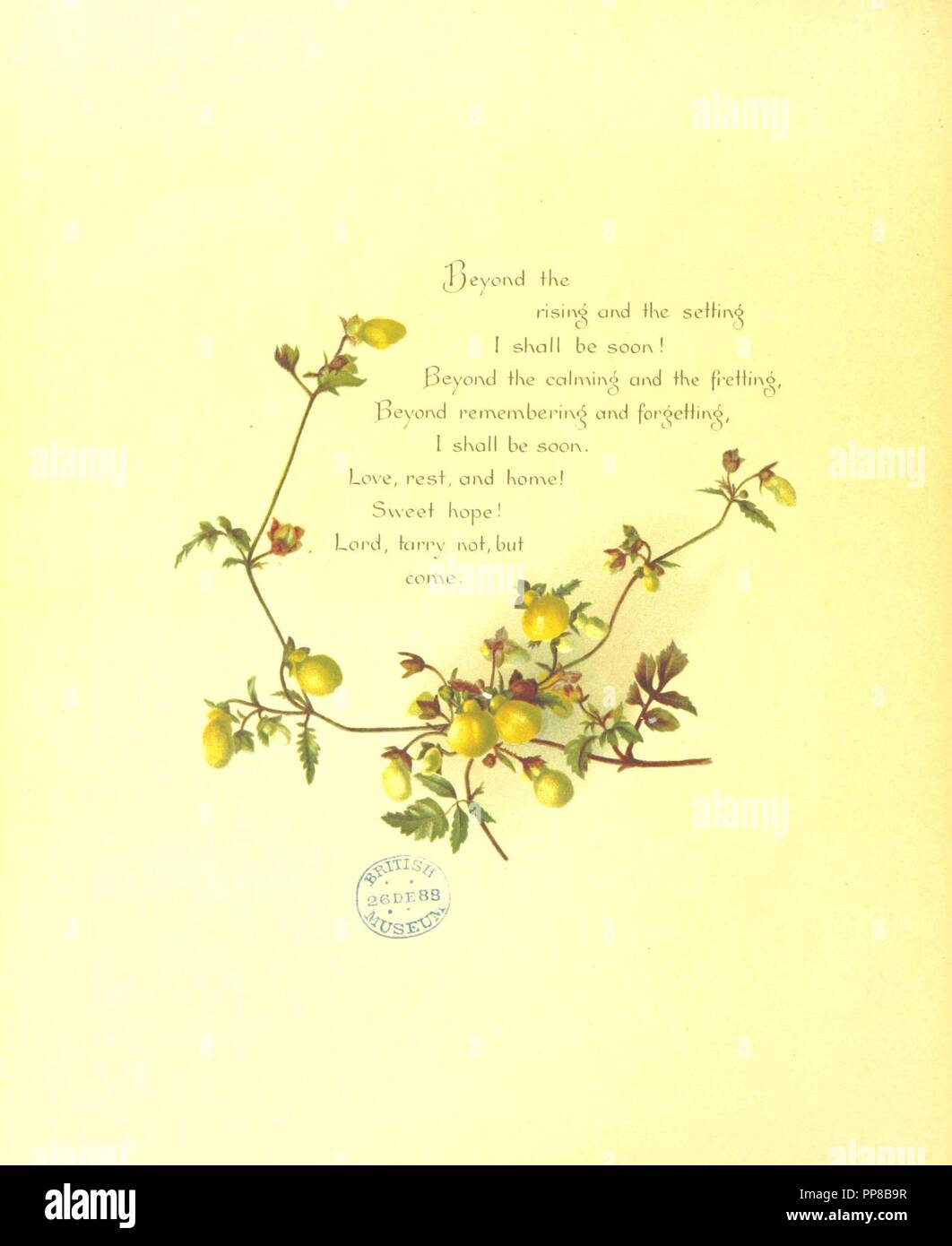 Immagine Dalla Pagina 30 Di Sattac Di Amore E Di Gioia Poesie Inni Selezionato Da Inni Di Fede E Di Speranza Con Illustrazioni Foto Stock Alamy