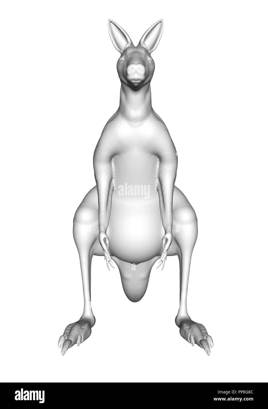 Canguro poligonale. 3D. Vista frontale. Illustrazione Vettoriale. Illustrazione Vettoriale