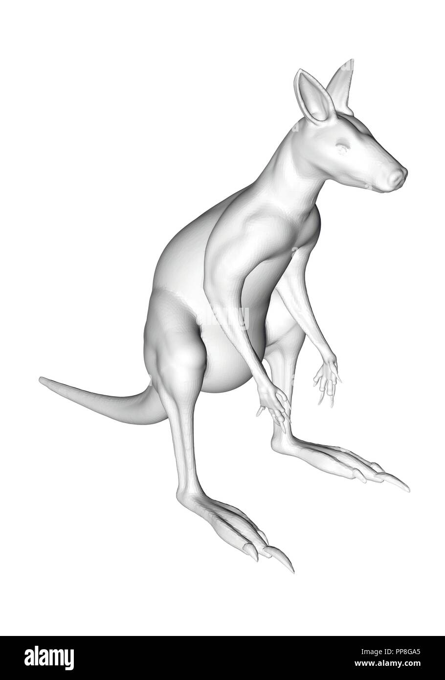 Canguro poligonale. 3D. Isometry. Illustrazione Vettoriale. Illustrazione Vettoriale