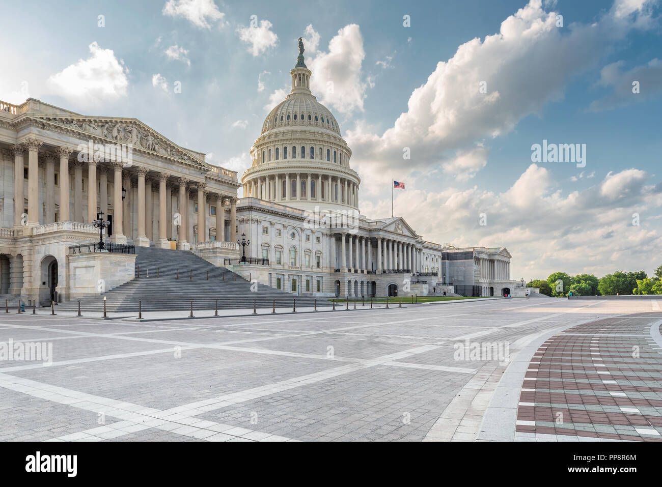 Washington DC, Stati Uniti Campidoglio in estate Foto Stock