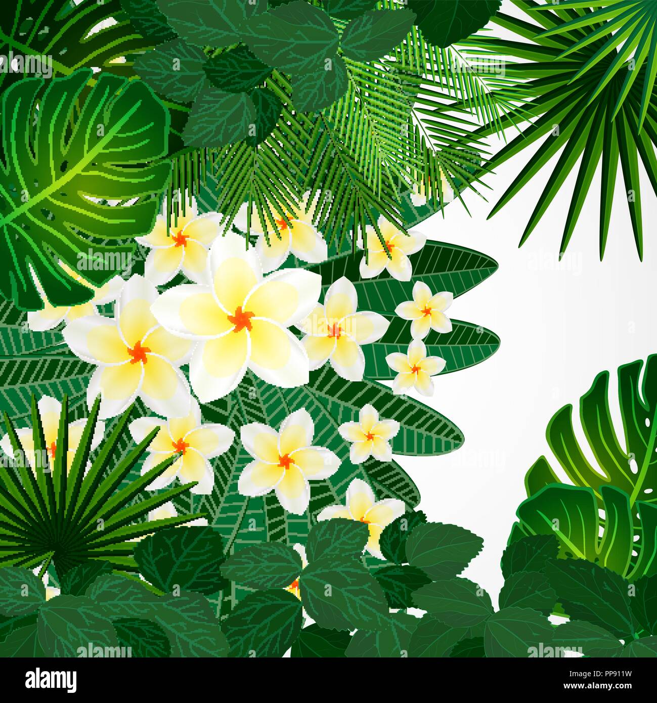 Eps10 floral background di design. Plumeria fiori e foglie tropicali. Illustrazione Vettoriale