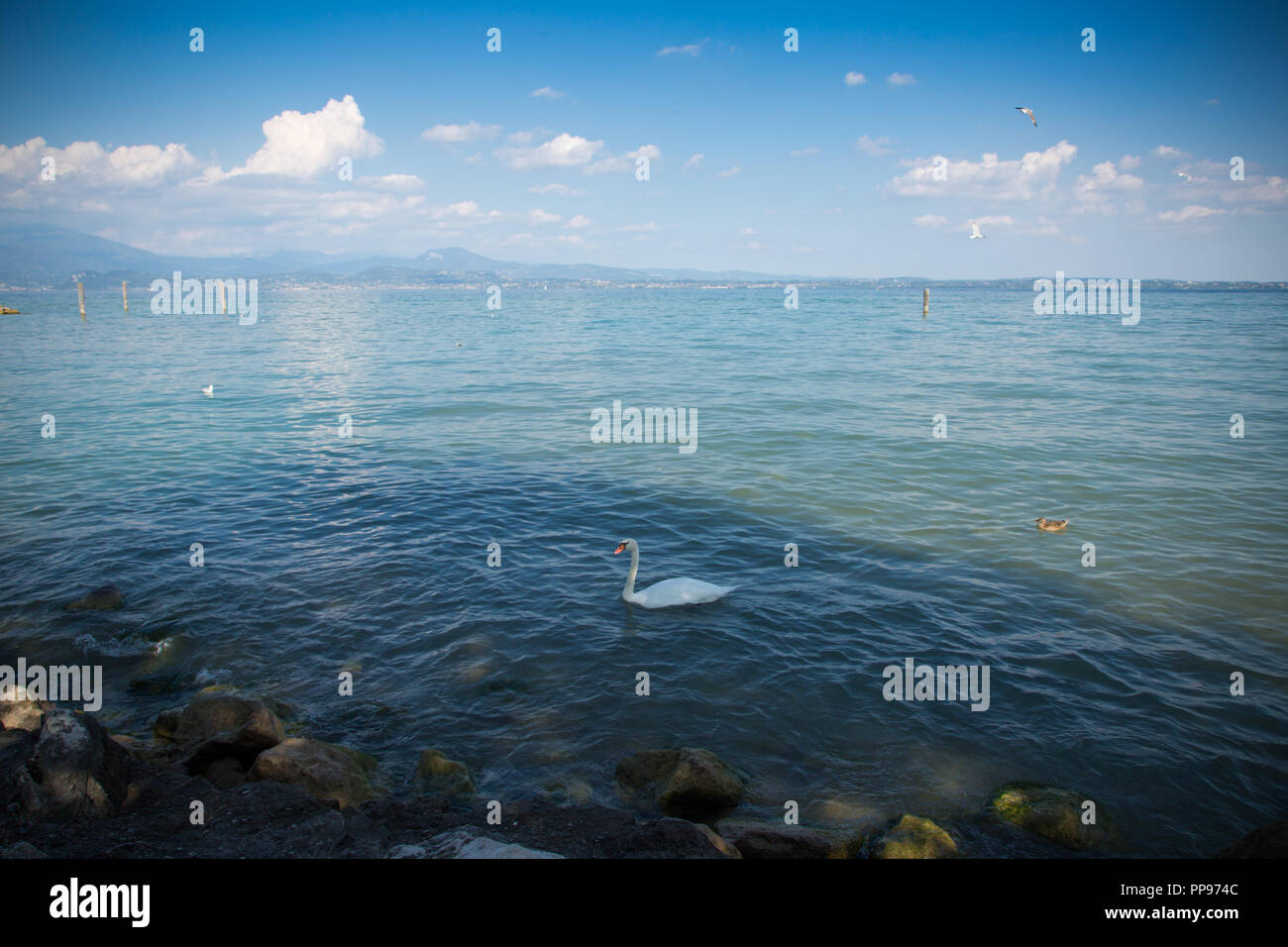 Il bellissimo lago di Garda in Italia, soleggiata giornata estiva. Il 7 settembre 2018 Foto Stock