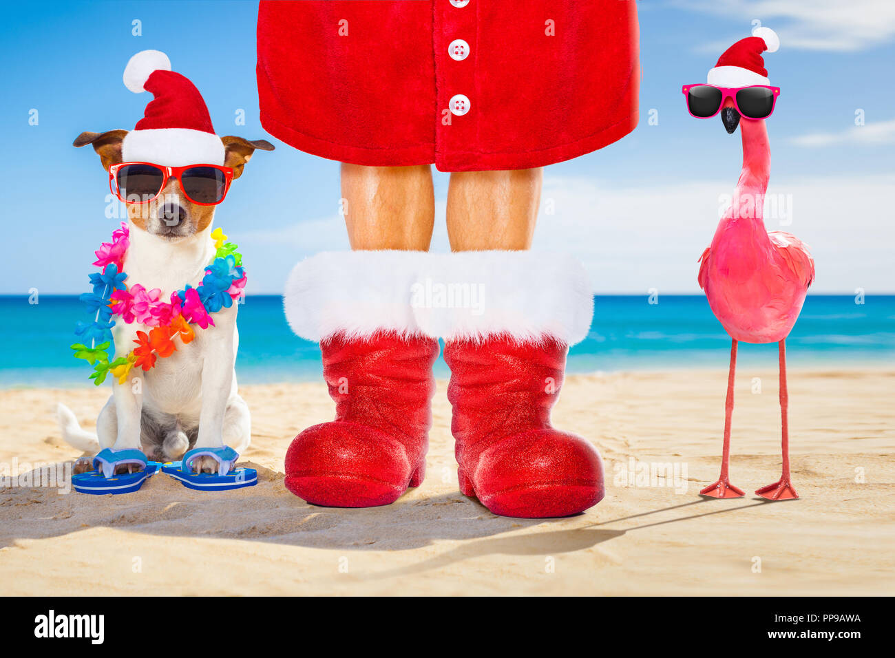 Cane e proprietario seduti insieme vicino alla spiaggia in estate vacanze di natale vacanze, indossando un berretto di Babbo Natale e stivali rossi e un fenicottero rosa Foto Stock