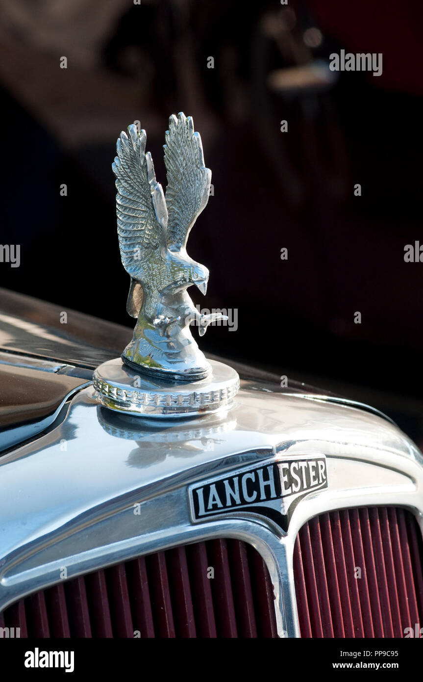 L'Italia, Lombardia, incontro di auto d'epoca, Eagle ornamento del cofano Foto Stock
