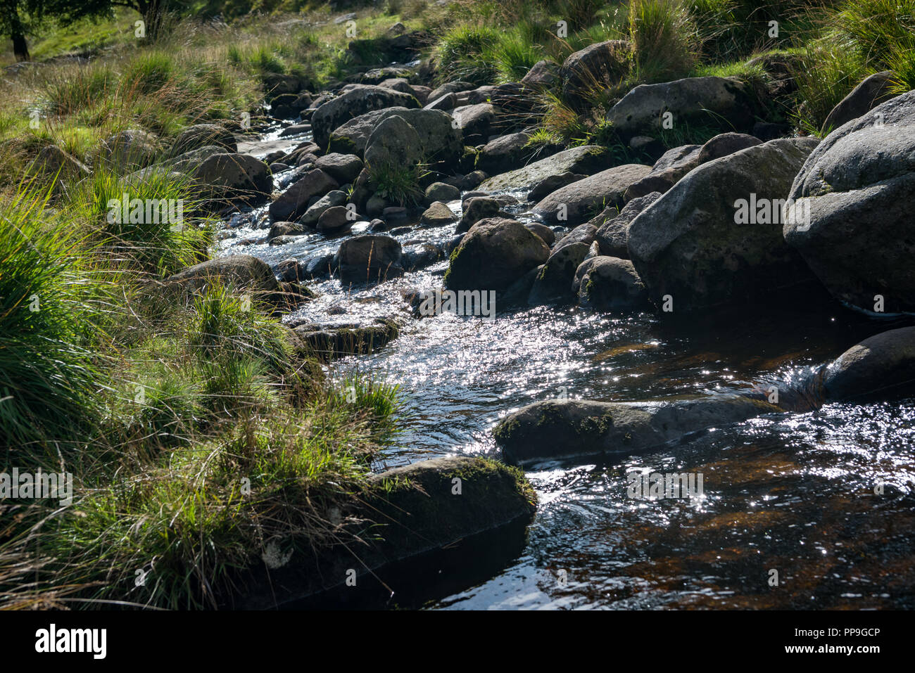 Serbatoio Dovestone fotografia - Nick Harrison Foto Stock