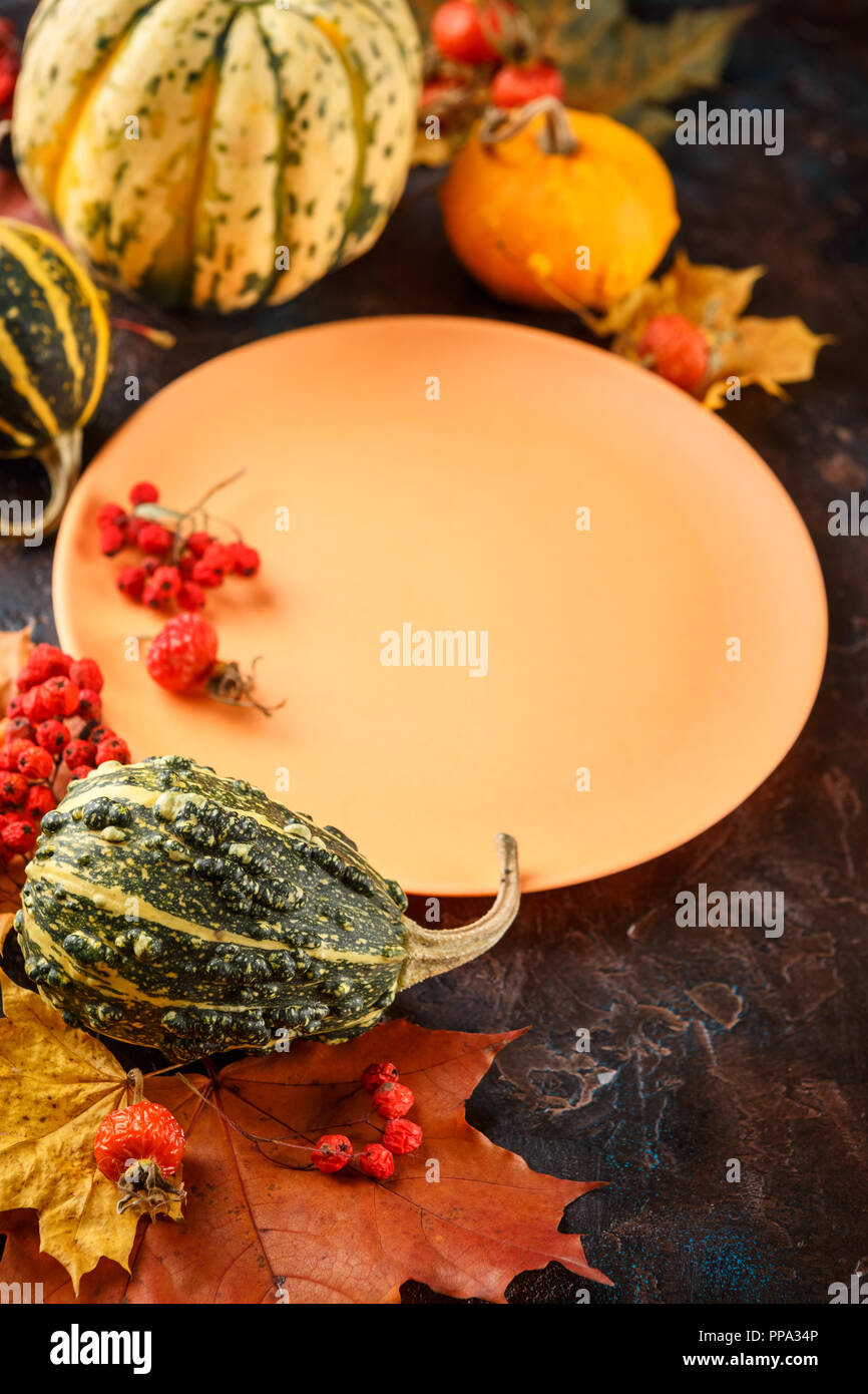 Autunno messa in tavola con zucche. Cena di ringraziamento e decorazione d'autunno. Foto Stock