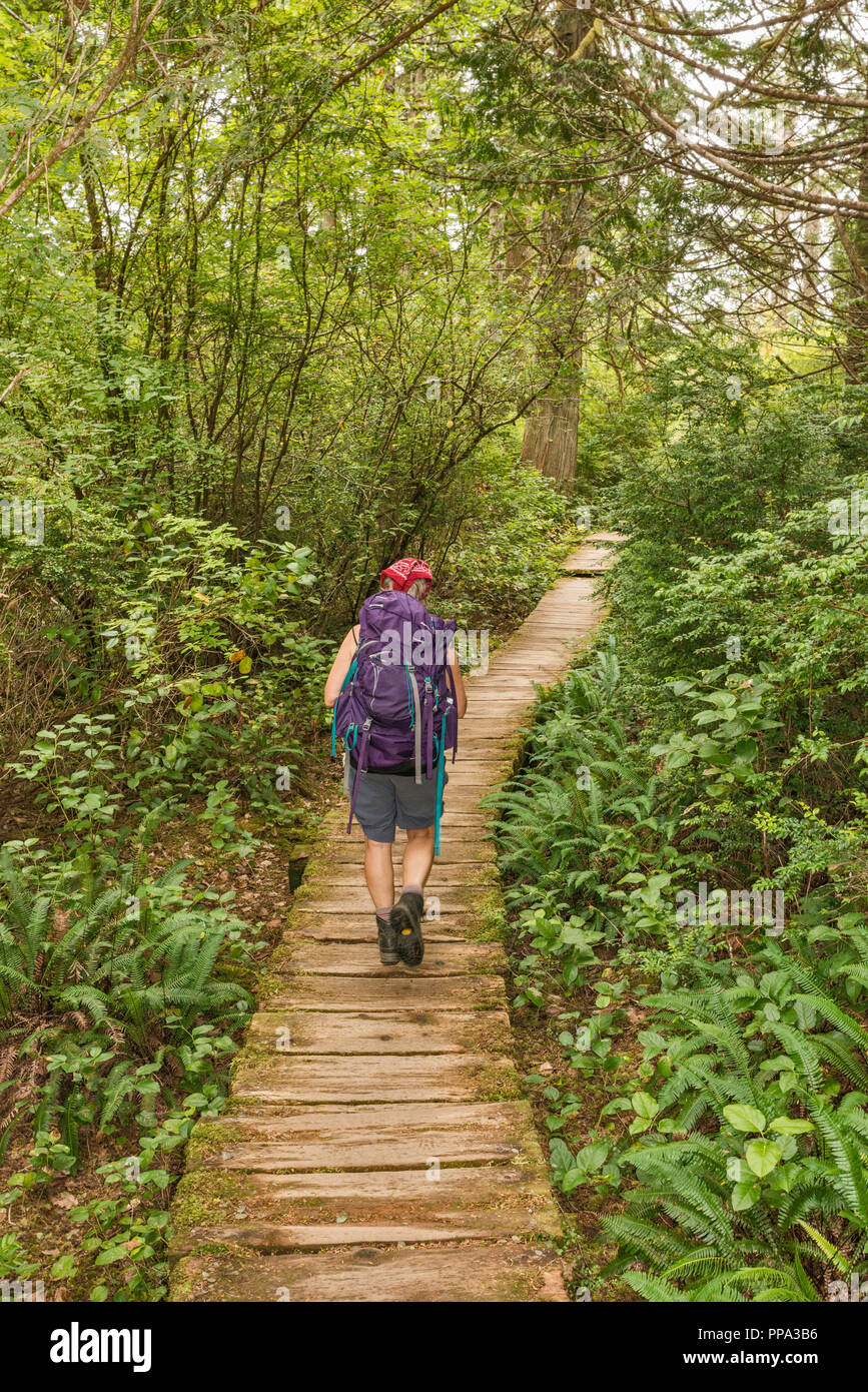 Medio Evo Woman Hiking, Cape Alava Trail, foresta pluviale temperata, vicino a Cape Alava, Pacific Coast, il Parco Nazionale di Olympic, nello stato di Washington, USA Foto Stock