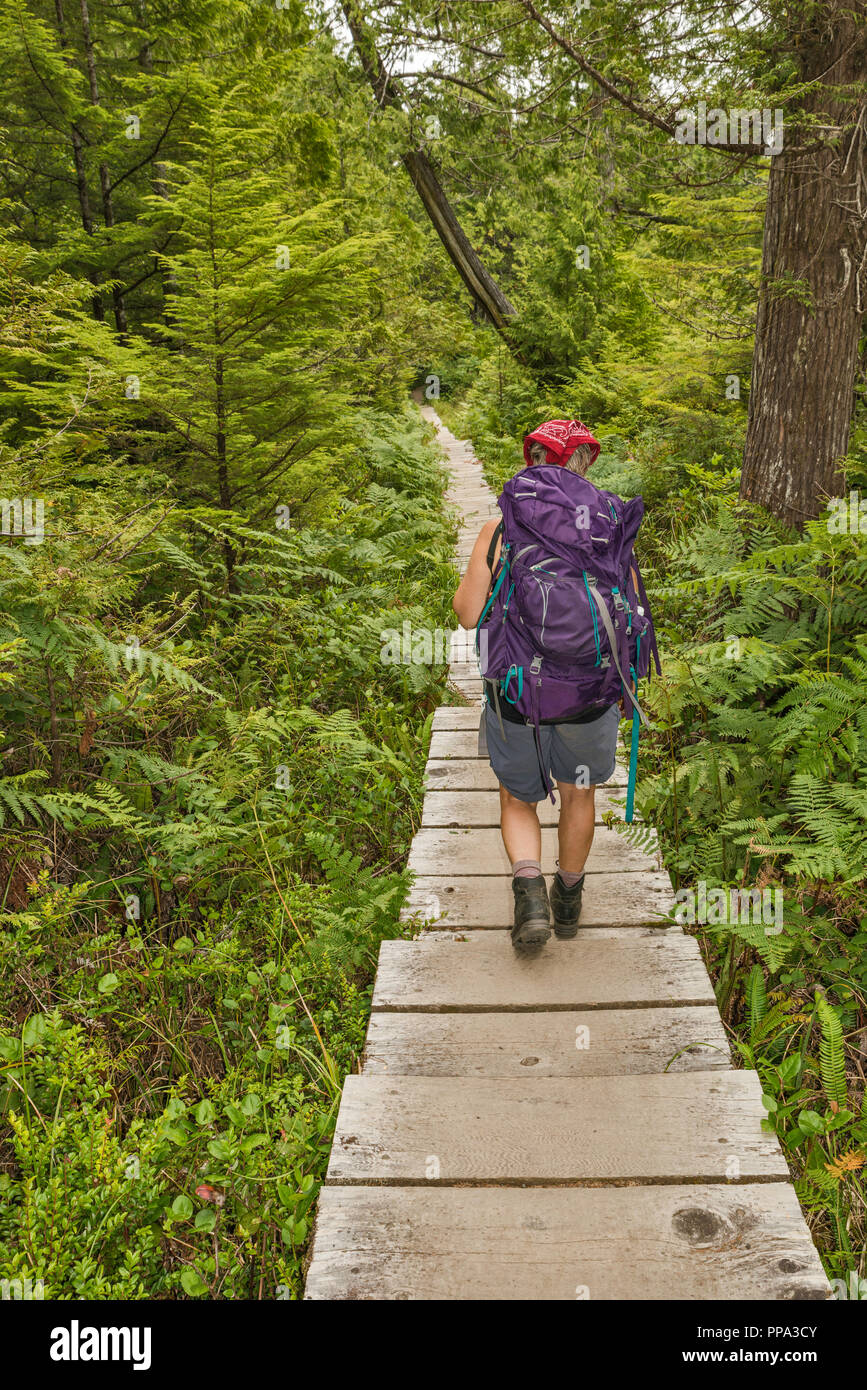 Medio Evo Woman Hiking, Cape Alava Trail, foresta pluviale temperata, vicino a Cape Alava, Pacific Coast, il Parco Nazionale di Olympic, nello stato di Washington, USA Foto Stock
