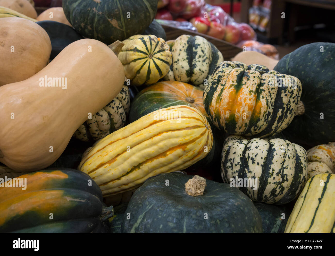 Decorativo zucche stagionali o squash sul visualizzatore in corrispondenza di un supermercato. Foto Stock