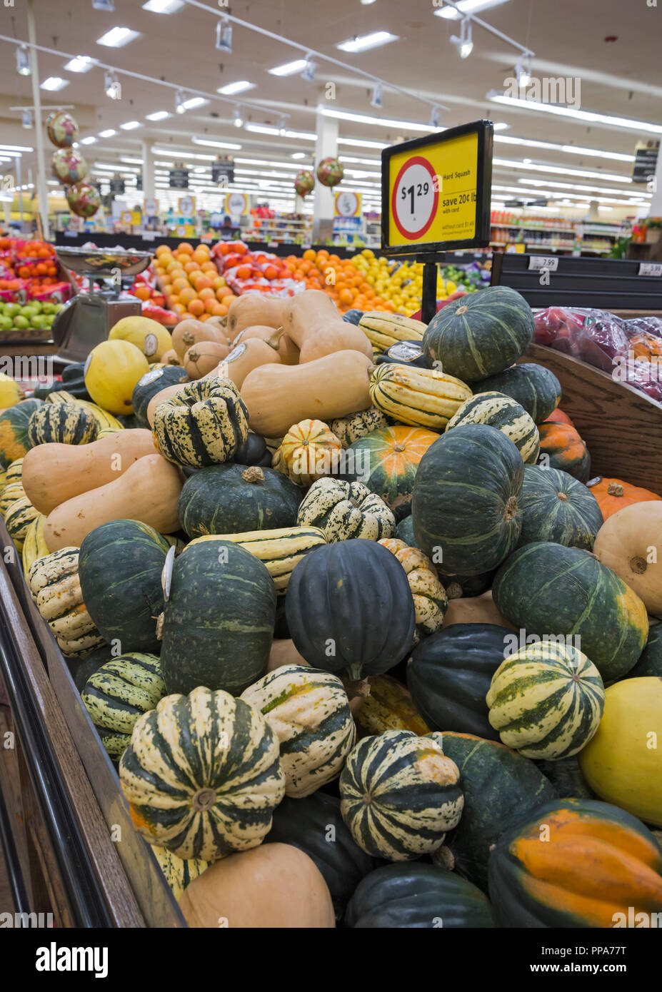Decorativo zucche stagionali o squash sul visualizzatore in corrispondenza di un supermercato. Foto Stock