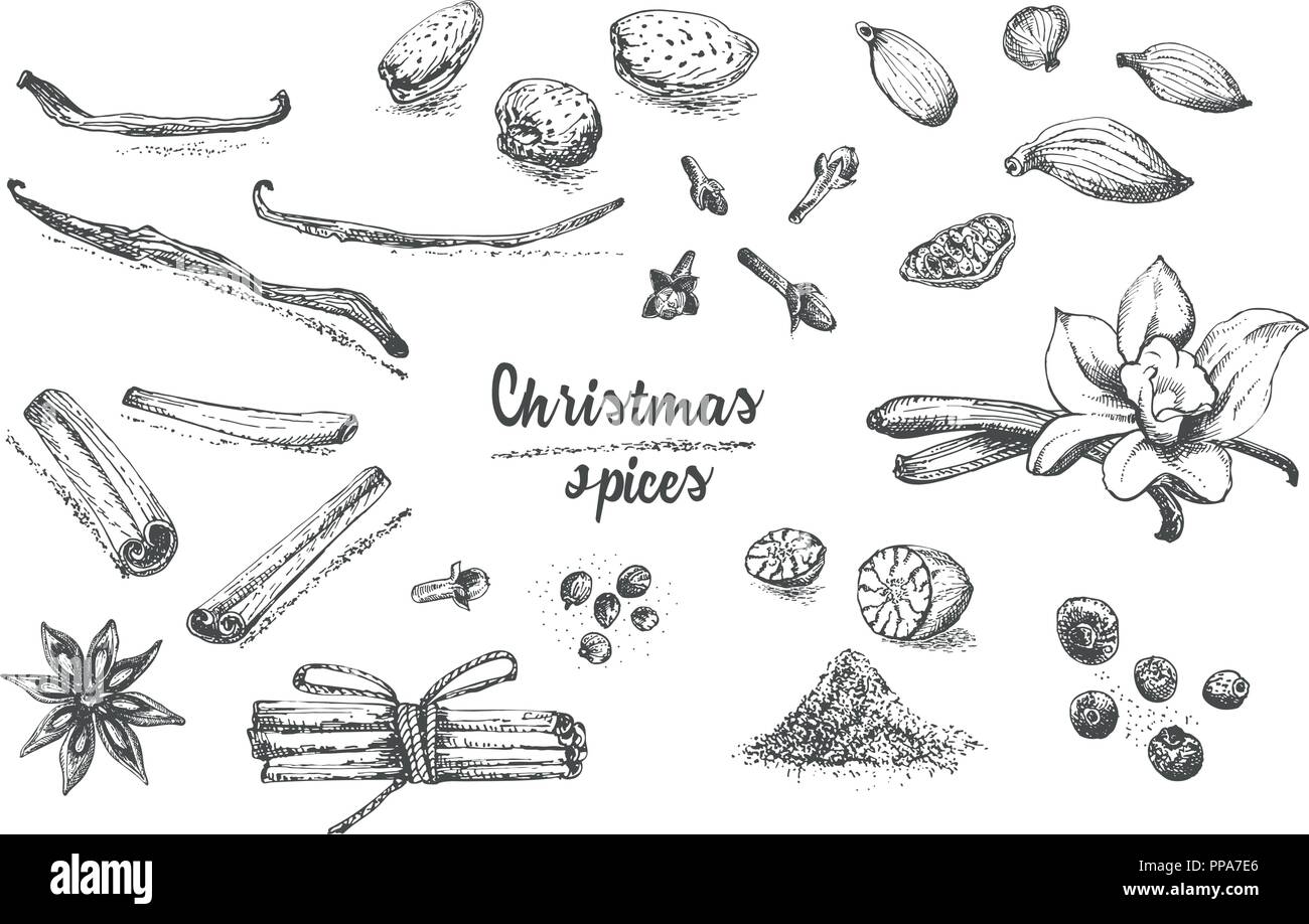 Set di disegnato a mano inverno Natale spezie pattern. Tradizionalmente utilizzate in fatto di dolci, vin brulé e biscotti fatti in casa. Illustrazione Vettoriale