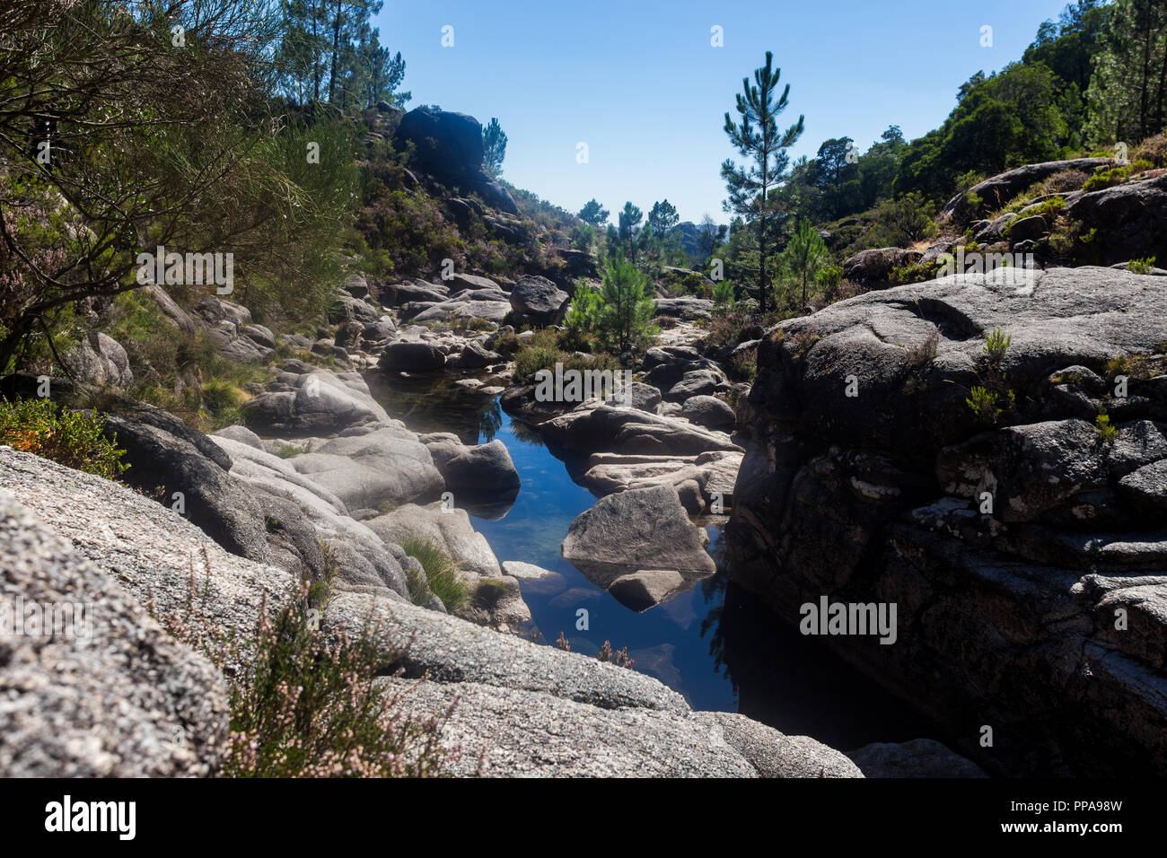 Panda naturescape geres parco nazionale del Portogallo Foto Stock