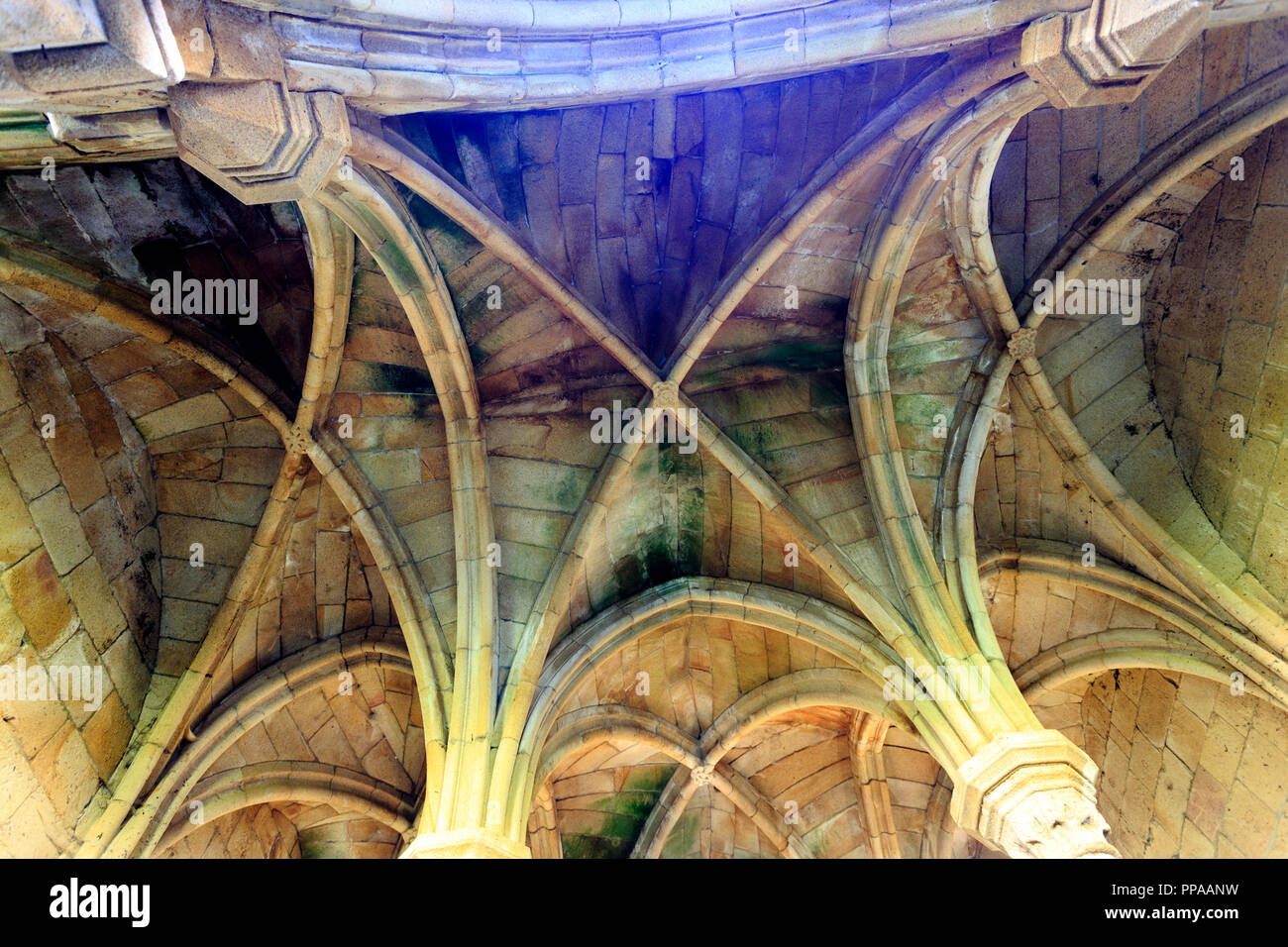 Resti della Sala Capitolare, con due ali di archi di appoggio sporgente su capitelli dorici e colonne nel convento di Santa Maria de Aguiar, vicino a t Foto Stock