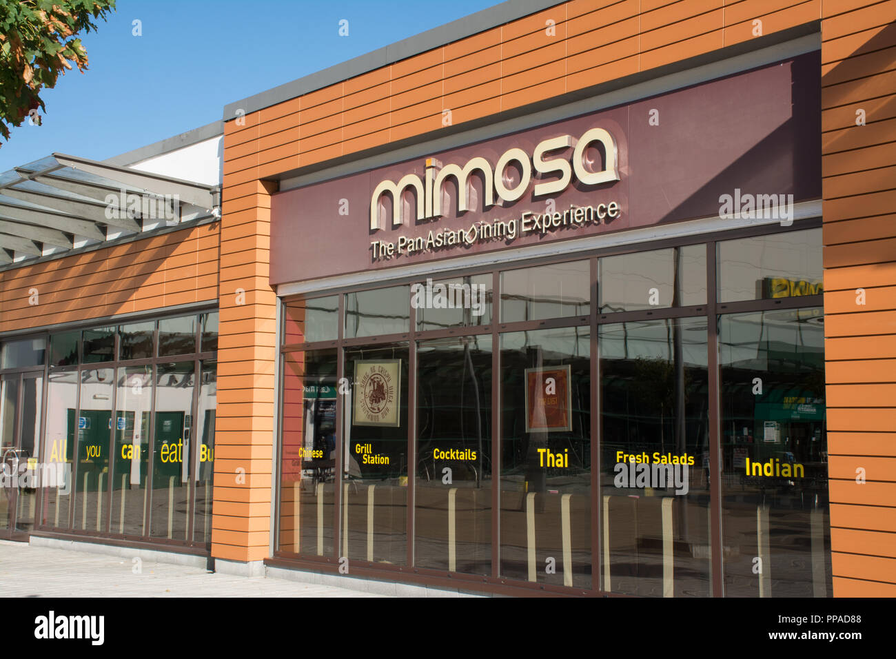 Il Mimosa Restaurant è specializzato in buffet Pan Asiatico e World, UK Foto Stock