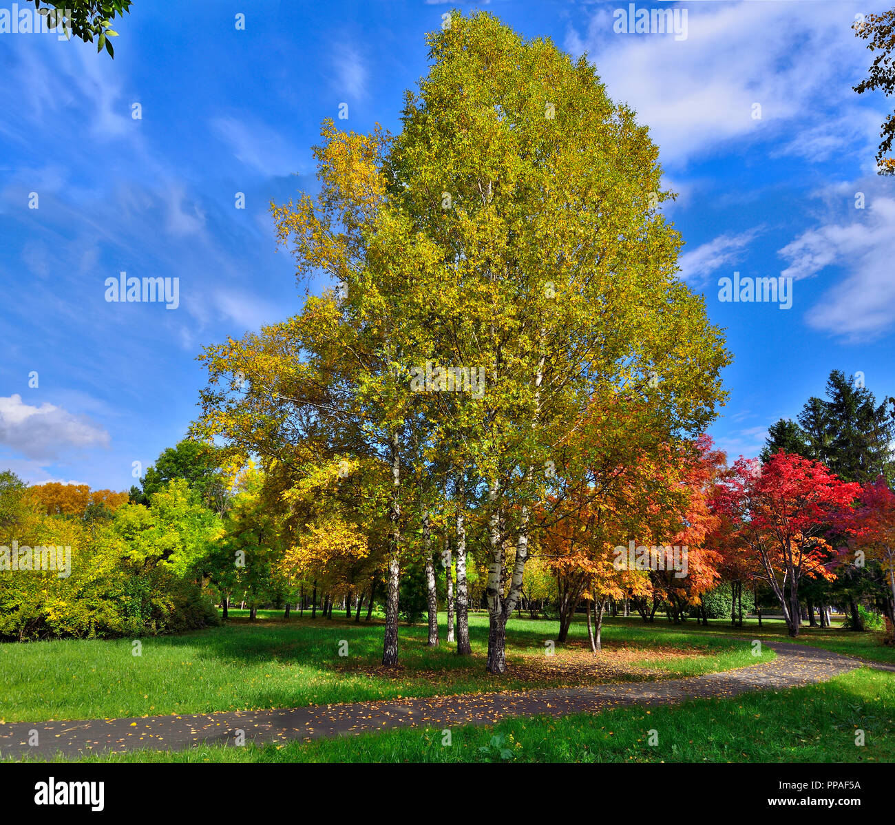 Accogliente angolo della città di autunno parco con percorso attraverso Prato tra gli alberi con foglie variopinte e rosso rowan alberi - paesaggio autunnale a bright su Foto Stock