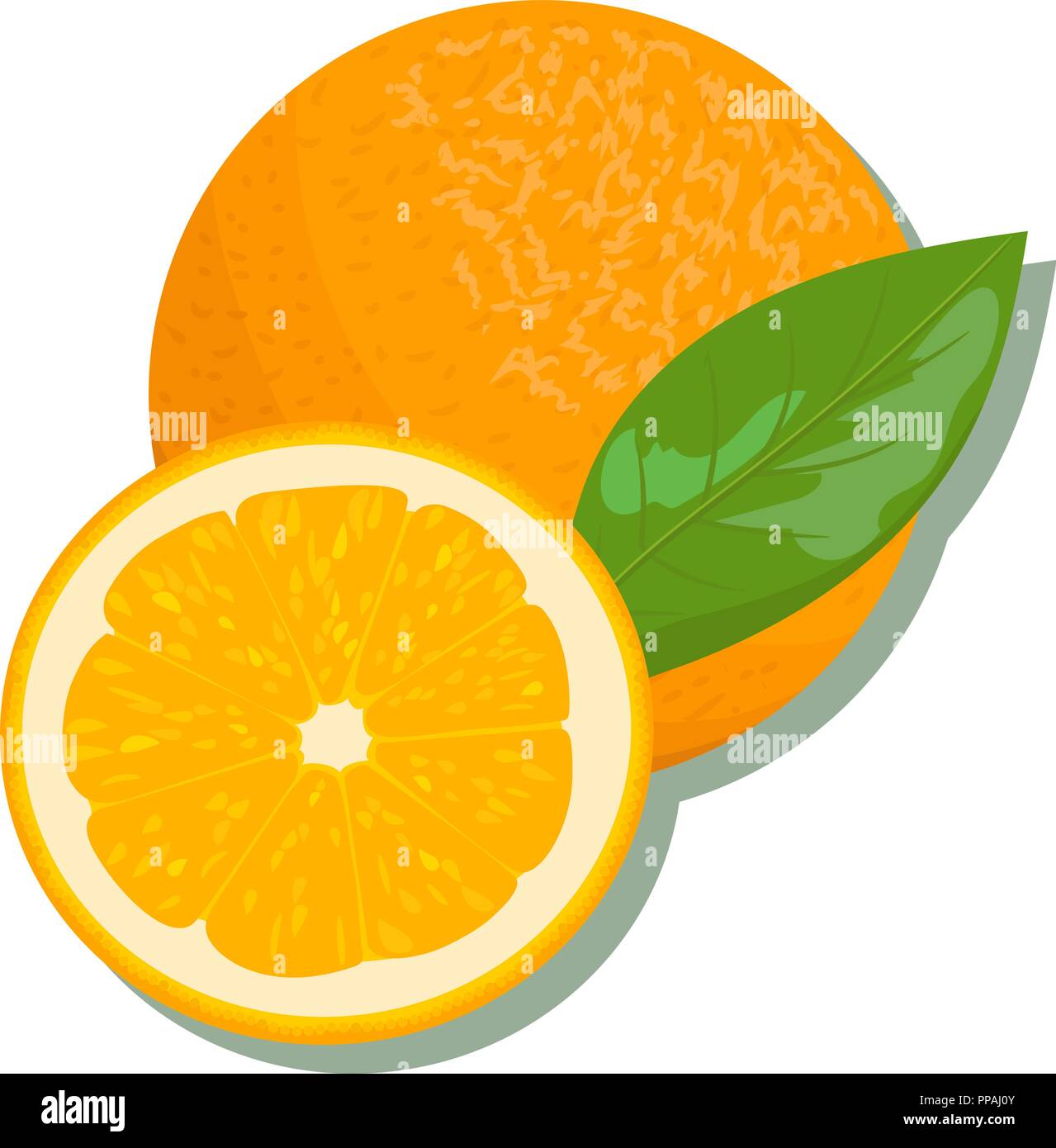 Prodotti di agrumi - arancio, limone, calce, bergamotto, mandarino, pompelmo con foglie. Set di vettore di frutti interi e fette. Per progettazione, poster, tag, pr Illustrazione Vettoriale