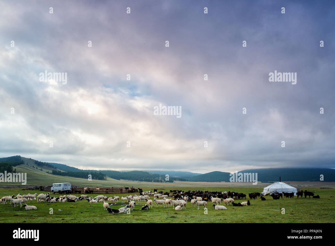Drammatica cielo al di sopra di un campo nomadi presso il lago khovsgol, Khatgal, Mongolia Foto Stock
