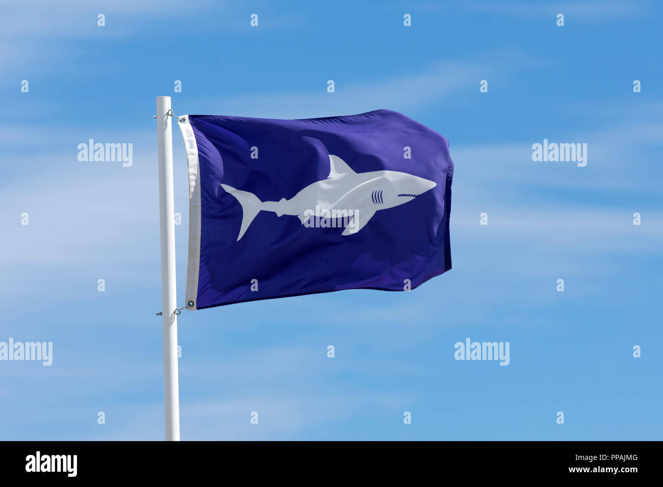 Un avvertimento di squalo sventola su Nauset sulla spiaggia di Cape Cod, Massachusetts, STATI UNITI D'AMERICA Foto Stock