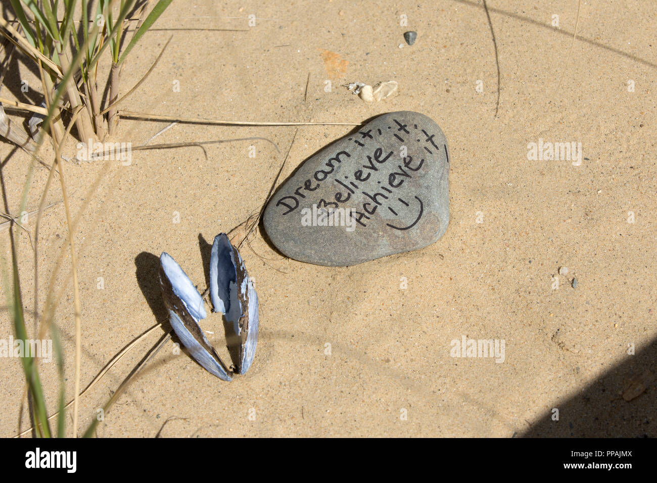 Una roccia nella sabbia della spiaggia di Nauset in Oreleans, Massachusetts il Cape Cod, STATI UNITI D'AMERICA Foto Stock
