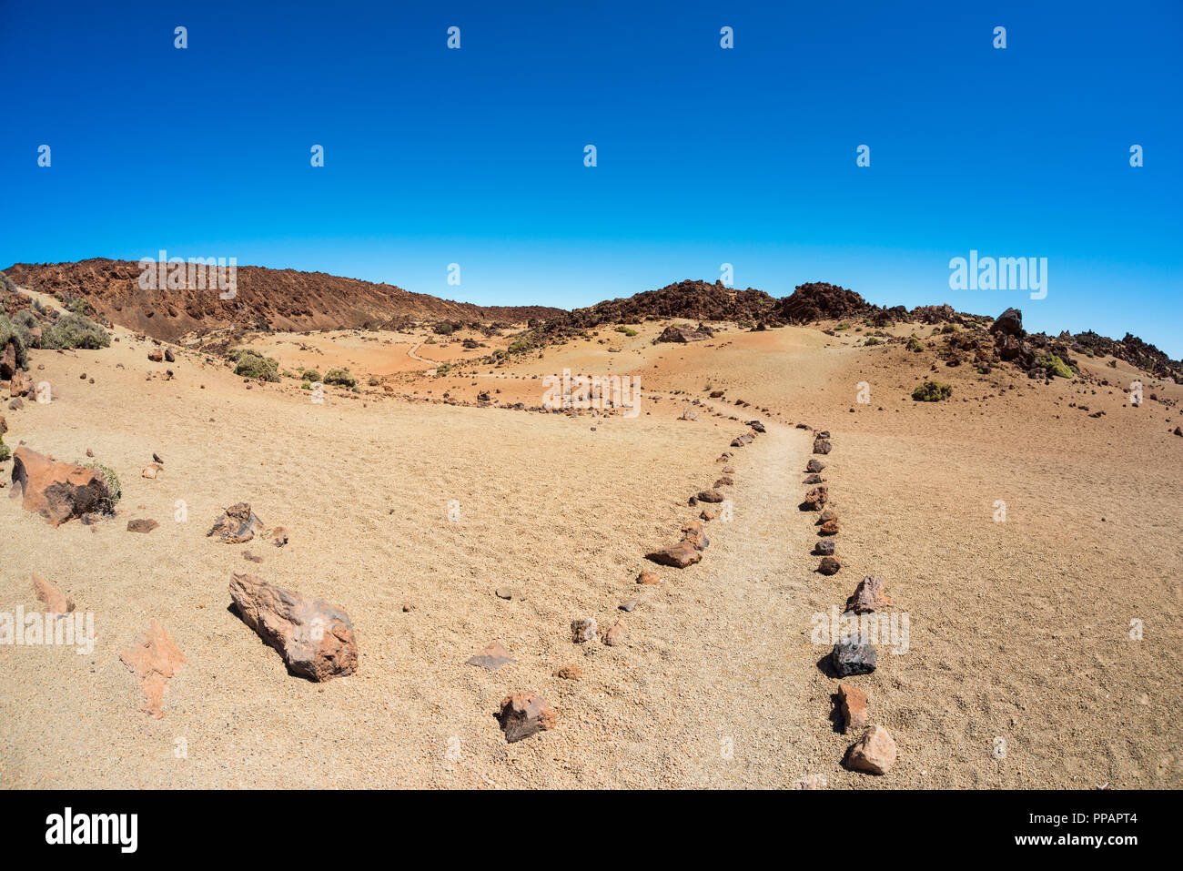Il sentiero attraverso il paesaggio vulcanico, Parque Nacional del Teide Tenerife, Isole Canarie, Spagna Foto Stock