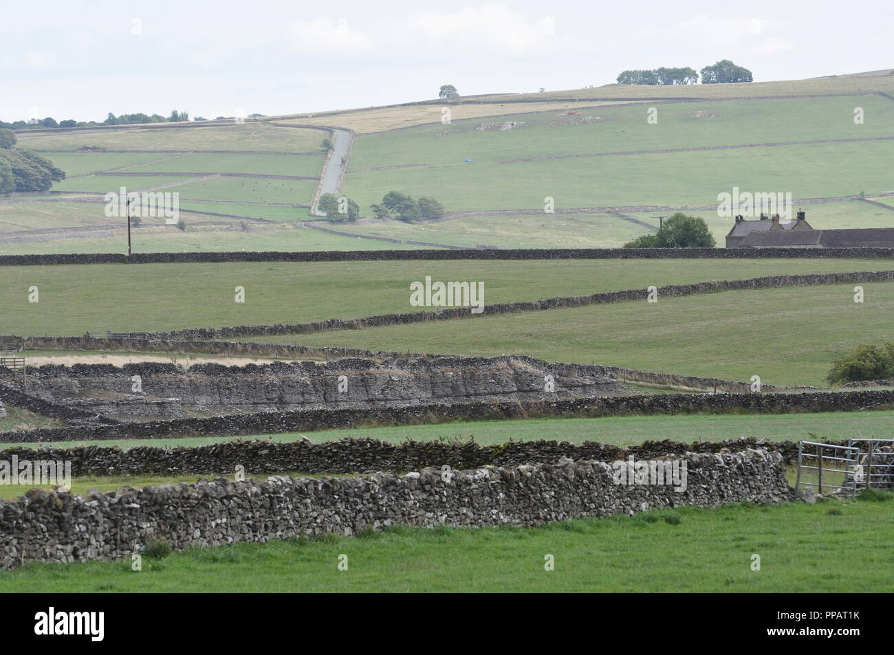 Guardando verso sud-sud-est da Ordnance Survey 169771 griglia verso Longstone Moor, Derbyshire Peak District, England Regno Unito Foto Stock