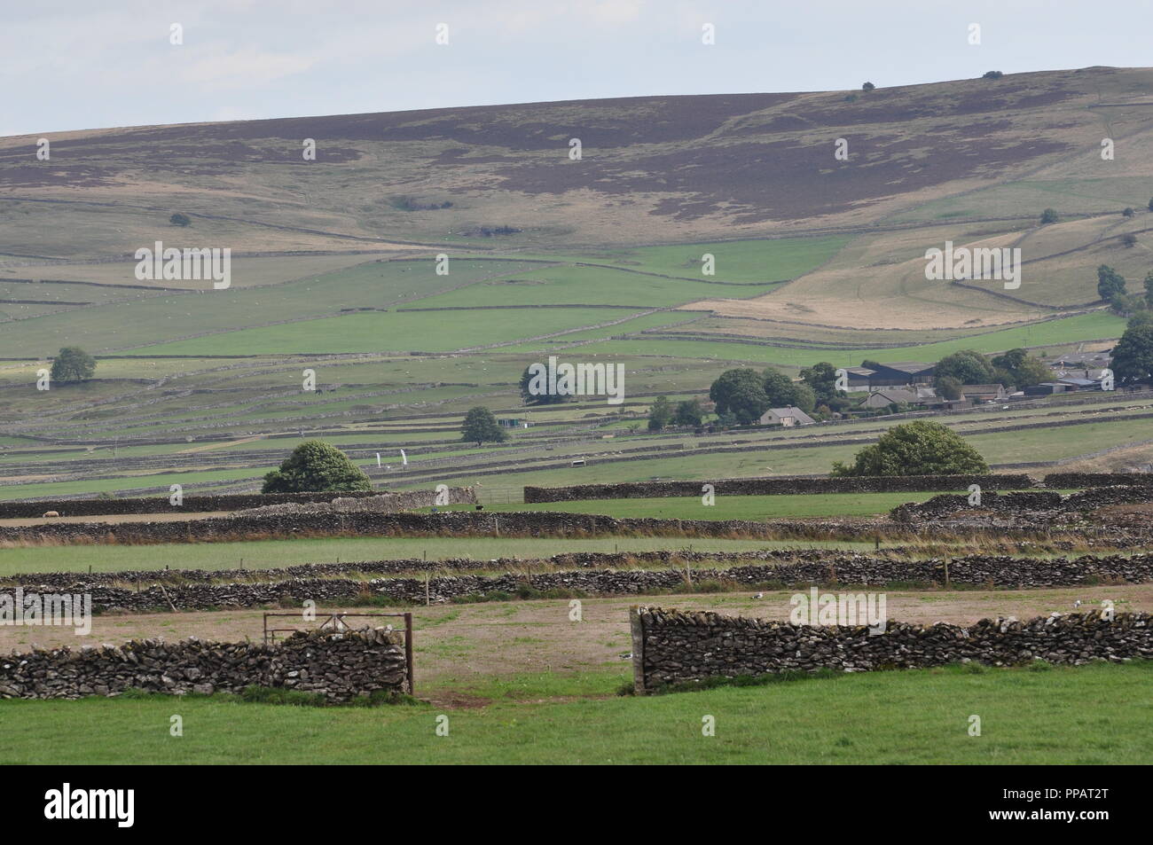 Guardando verso sud-sud-est da Ordnance Survey 169771 griglia verso Longstone Moor, Derbyshire Peak District, England Regno Unito Foto Stock