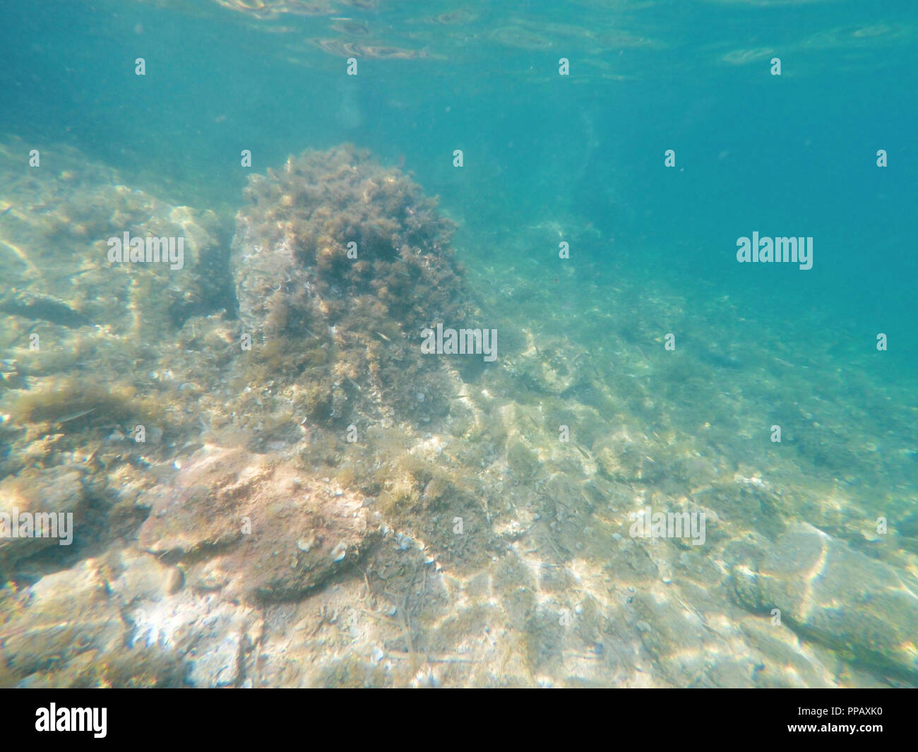 Immersioni subacquee per l'acqua di mare pulita a cesme izmir Foto Stock