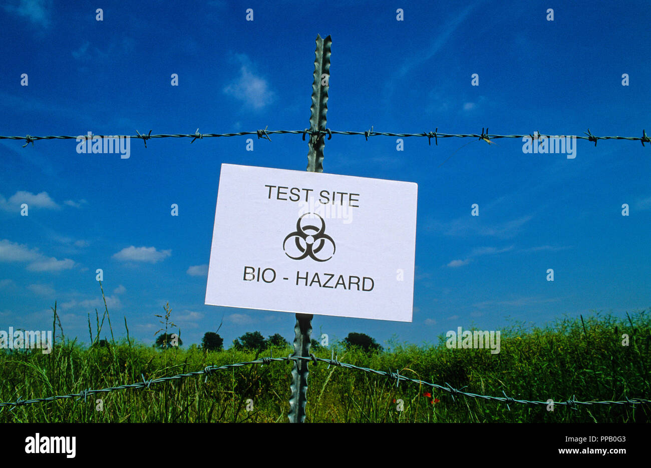 Gli alimenti OGM vista di prova, Hampshire, Inghilterra, Regno Unito, GB. Foto Stock