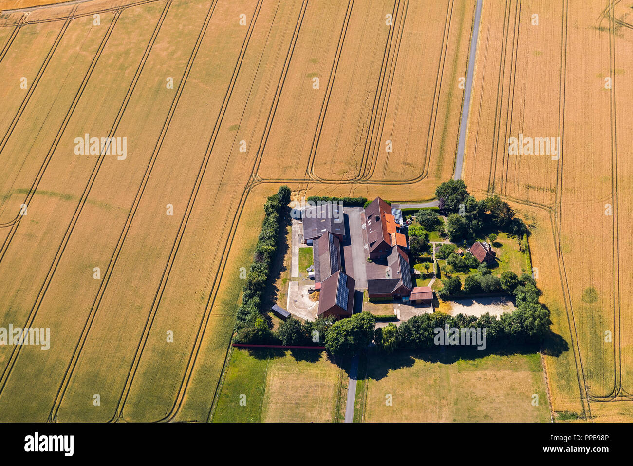 Vista aerea, Casa Tüchen, campi di cereali e prati, strade sterrate, forme geometriche, Alte Beckumer Straße, Im Schliek Foto Stock