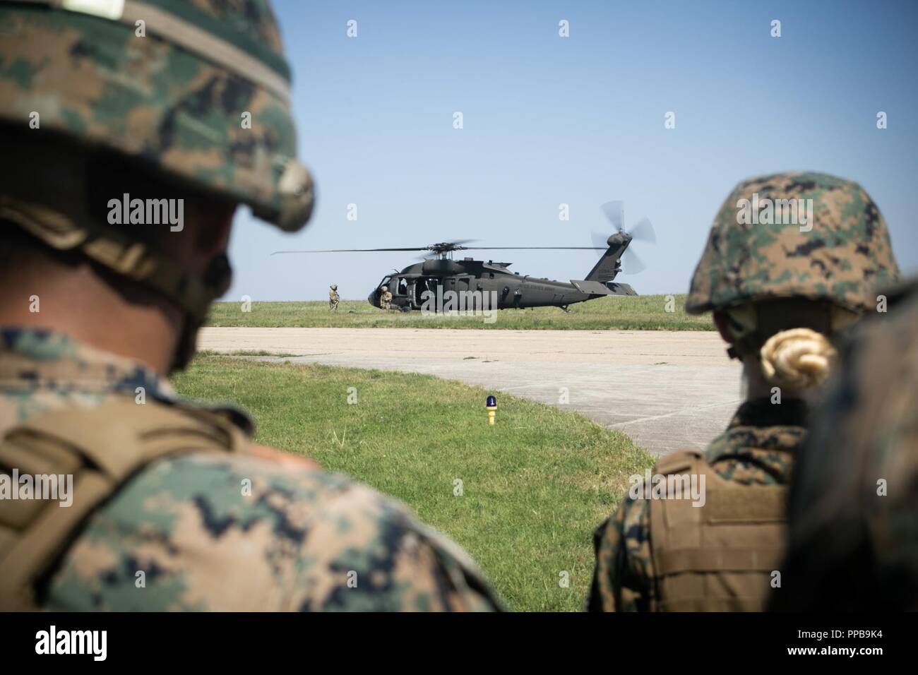 Stati Uniti Marines con il Mar Nero La forza di rotazione 18.1 prepararsi a bordo di una U.S. Esercito UH-60 Black Hawk elicottero fornendo un sistema di protezione per il personale medico durante una evacuazione medica (MEDEVAC) trapano a Mihail Kogalniceanu Air Base, Romania, Agosto 16, 2018. La formazione simulato le MEDEVAC di figurativamente feriti Marines e civili, la convalida combinati, joint-integrated procedure mediche in caso di un incidente di massa incidente. Foto Stock