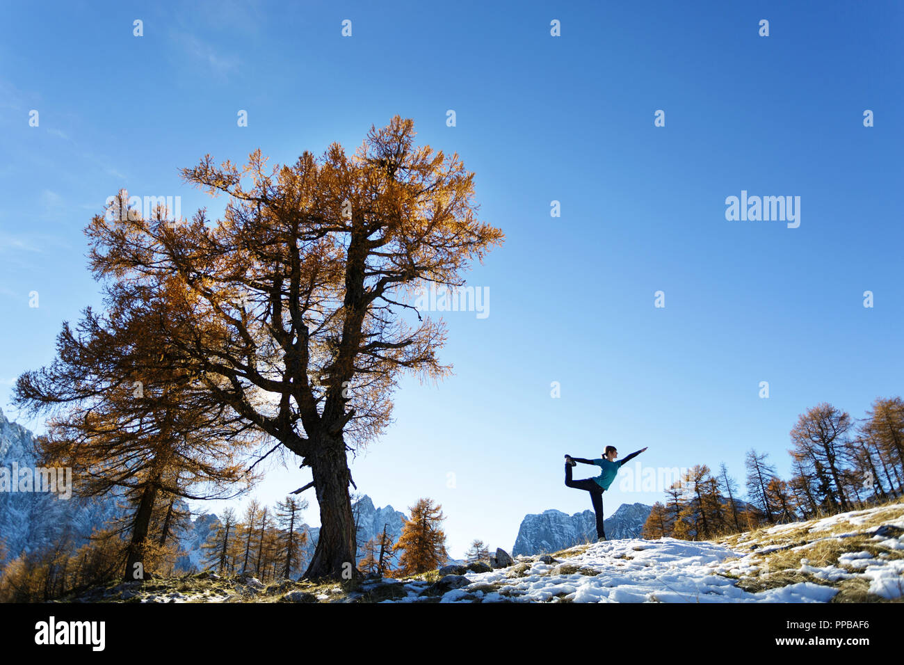 Giovane donna in piedi sulla parte superiore di una coperta di neve montagna sotto golden larice, yoga in posa, durante la stagione autunnale, Slovenia, Alpi Foto Stock