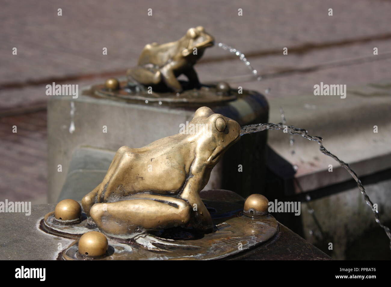 Le rane sulla fontana sul Rynek nel centro di Torun, Polonia Foto Stock