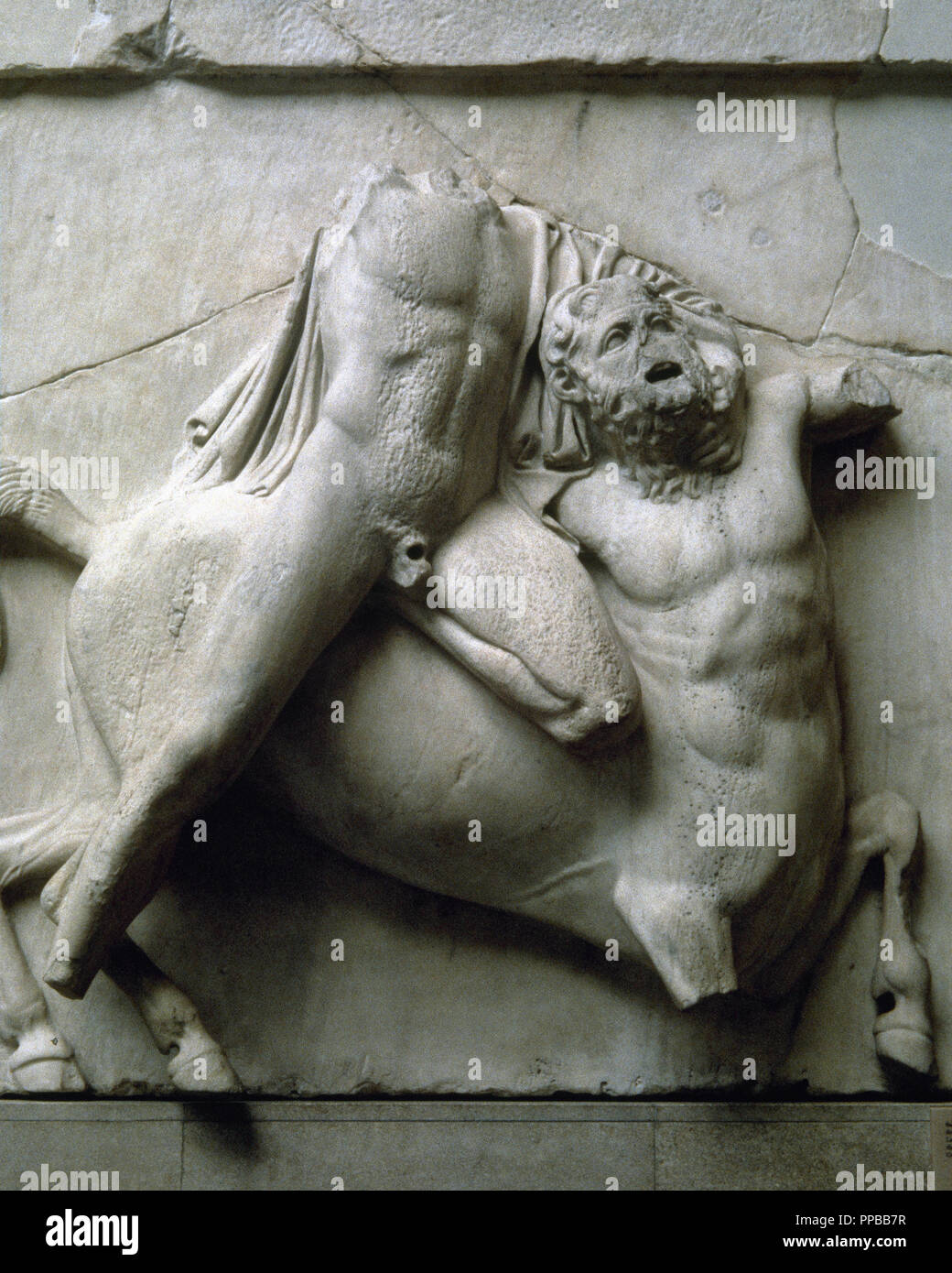 ARTE GRIEGO. ESTILO CLASICO. METOPAS DEL PARTENON (s. V a. C.). Detalle de n.a. de las 92 metopas que decoraban el Partenón. HEROE ATENIENSE LUCHANDO CON CENTAURO. Seguramente Realizada por Fídeas o alguno de sus discípulos. Acrópolis de Atenas. Grecia. Depositada en el British Museum. Londres. Reino Unido. Foto Stock
