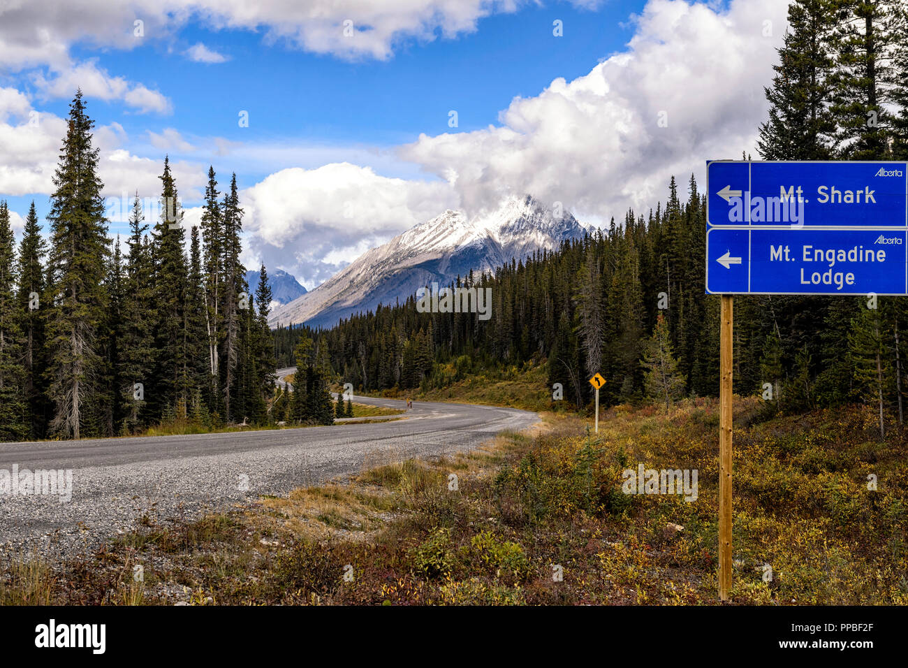 Kananaskis paese visto dal Smith-Dorrien Spray sentiero dei laghi (autostrada 742) vicino a Canmore Alberta Foto Stock