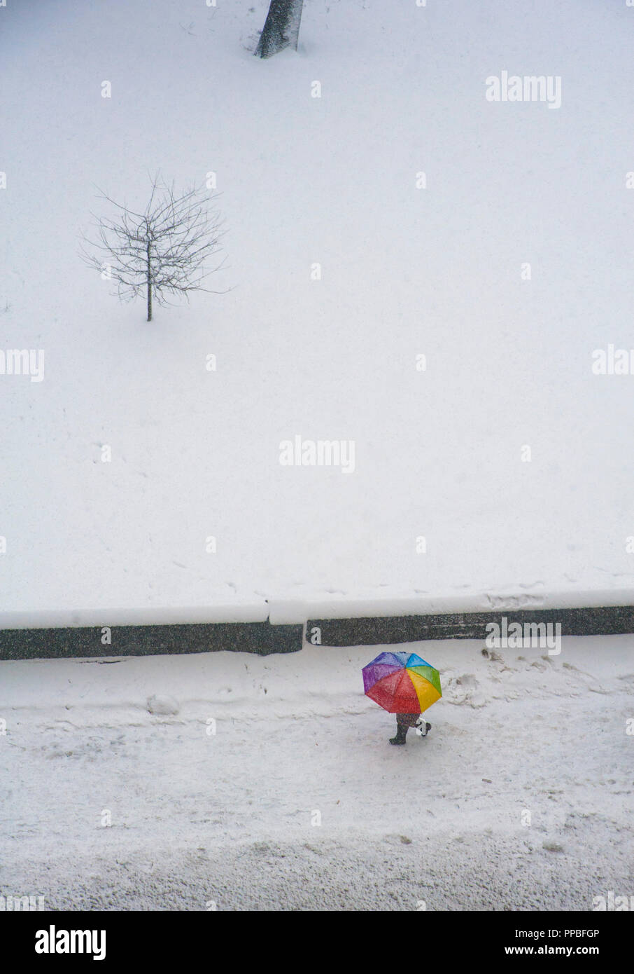 Rainbow ombrello colorato nella neve nel Central Park di New York City Foto Stock