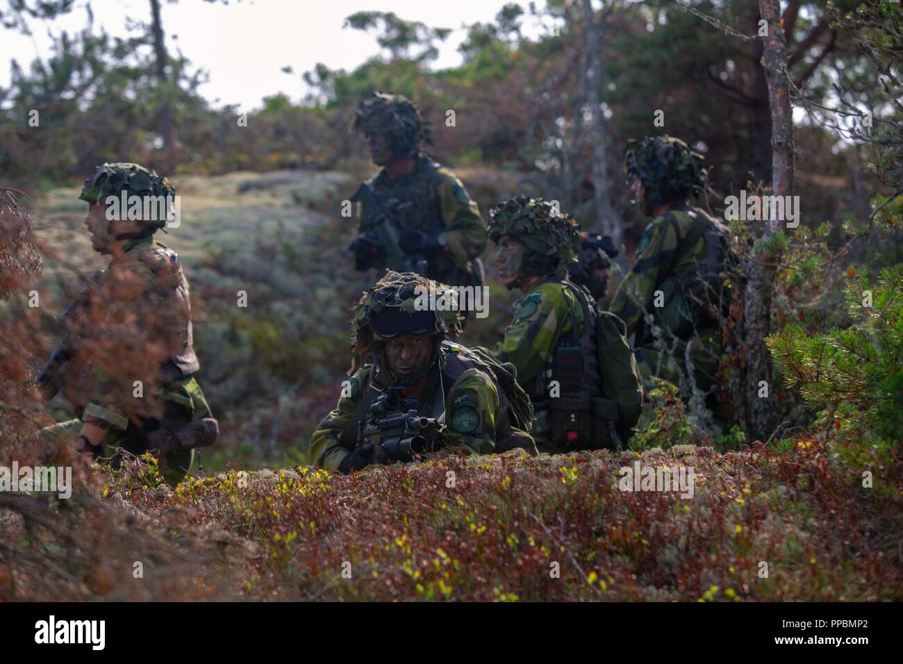 Marines svedese fornire protezione durante l'assalto anfibio prova durante l'esercizio arcipelago adoperano lungo con Marines da Marino Force-Europe rotazionale in Korso, in Svezia, il 30 agosto 2018. Arcipelago Endeavour è un accordo bilaterale in materia di esercizio in Svezia per migliorare l'interoperabilità e rafforzare la sicurezza nella regione del Mar Baltico. Questa è la prima volta negli Stati Uniti e Marines svedese sono stati formati come una unità integrata sul combattimento svedese barca 90 (CB-90) per eseguire una società a livello di assalto anfibio sull'esterno arcipelago di Stoccolma. Foto Stock