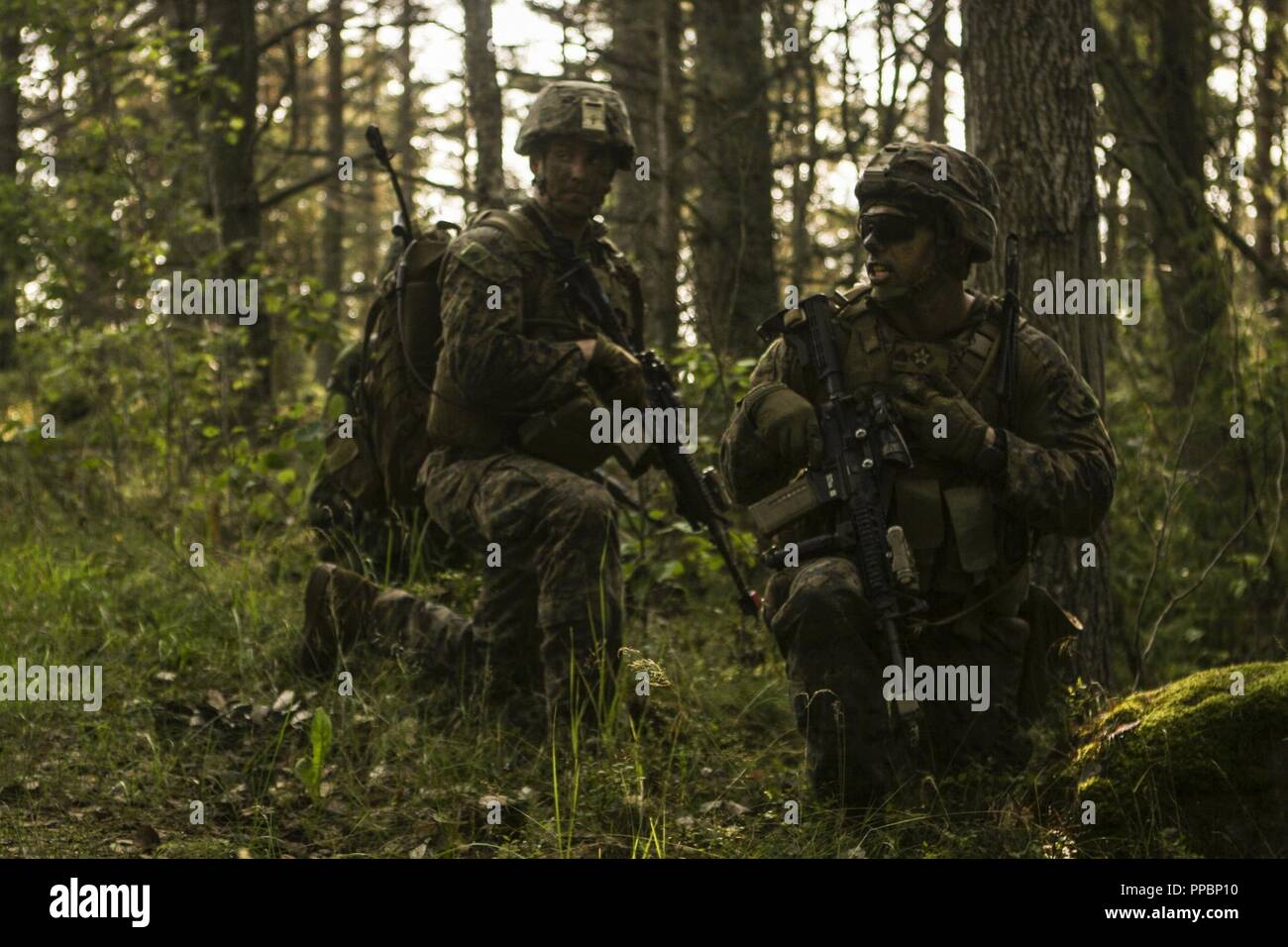 Stati Uniti Marines con Marine Force-Europe rotazionale 18.1 condurre un assalto anfibio durante l'esercizio arcipelago si sforzano con i Marines svedese del 1° Reggimento marini a bordo dell'isola di Korso, Harsfjarden, in Svezia, il 30 agosto 2018. Esercizio Arcipelago Endeavour è un sistema integrato di formazione sul campo di esercizio che aumenta la capacità operativa e migliora la collaborazione strategica tra Stati Uniti Marines e le forze svedesi. Foto Stock