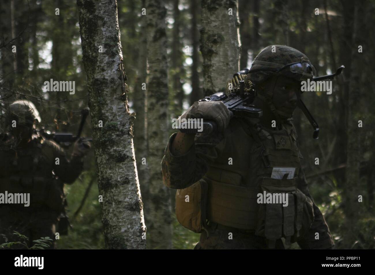 Stati Uniti Marines con Marine Force-Europe rotazionale 18.1 condurre un assalto anfibio durante l'esercizio arcipelago si sforzano con i Marines svedese del 1° Reggimento marini a bordo dell'isola di Korso, Harsfjarden, in Svezia, il 30 agosto 2018. Esercizio Arcipelago Endeavour è un sistema integrato di formazione sul campo di esercizio che aumenta la capacità operativa e migliora la collaborazione strategica tra Stati Uniti Marines e le forze svedesi. Foto Stock