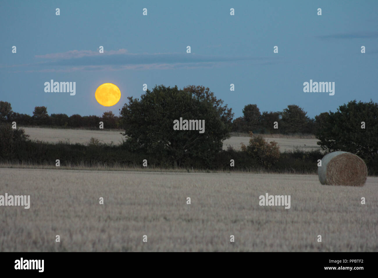 Northumberland, Regno Unito. Il 24 settembre 2018. Harvest Moon: Luna Piena del 24 settembre 2018. Bog Hall di Northumberland, Regno Unito. David Whinham/Alamy Live News Foto Stock