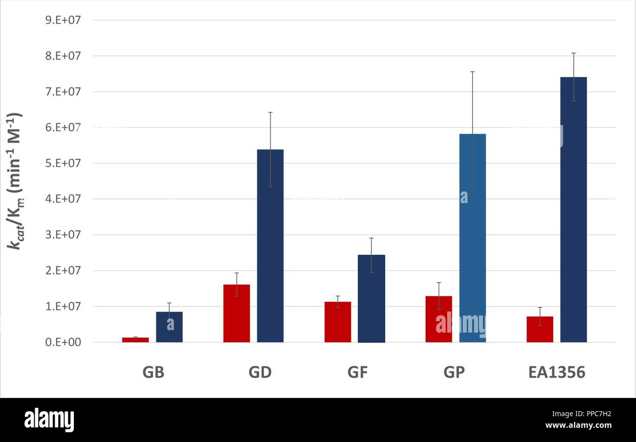 Immagine di U.S. Esercito RDECOM Foto Stock