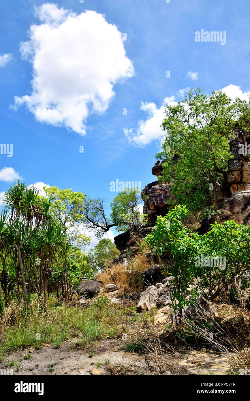 Anjalak Hill, (Long Tom Dreaming), vicino Gunbalanya (Oenpelli) di Arnhem Land, Territorio del Nord, l'estremità superiore, Australia Foto Stock