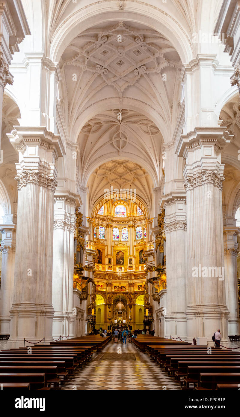 Cattedrale, interno con colonne bianche e golden santuario, soffitti stuccati, Catedral de Granada, Granada, Andalusia, Spagna Foto Stock
