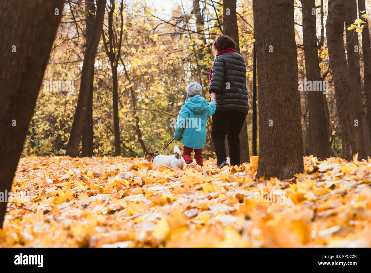 Nonna a piedi con il nipote e cane a caduta (autunno) park Foto Stock