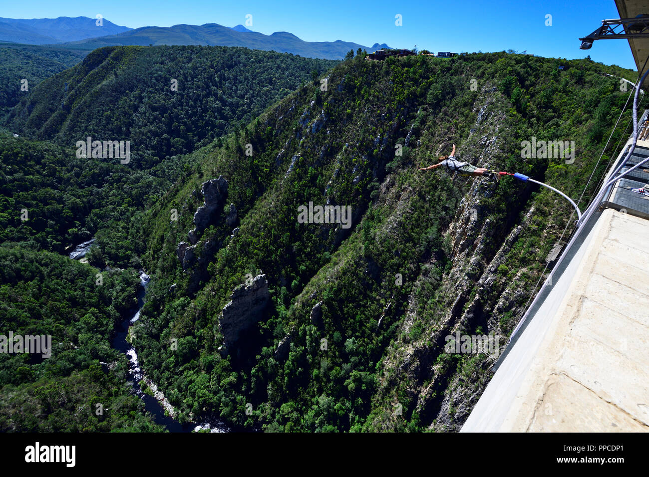 Bungee Jumping a ponte Bloukrans, Plettenberg, Western Cape, Sud Africa Foto Stock