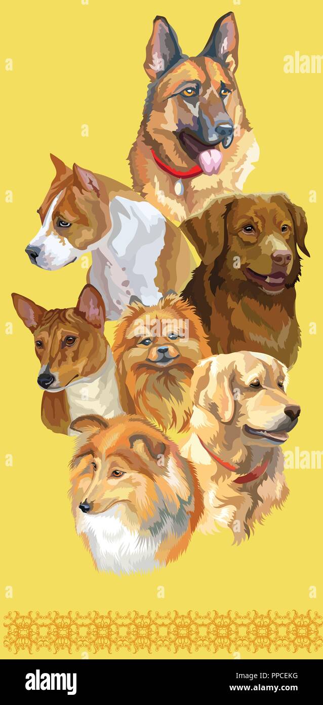 Cartolina verticale con cani di differenti razze (pastore tedesco; golden retriever, piccolo Pomerania, Pitbull, Nova Scotia Duck Tolling Retriever, Bas Illustrazione Vettoriale