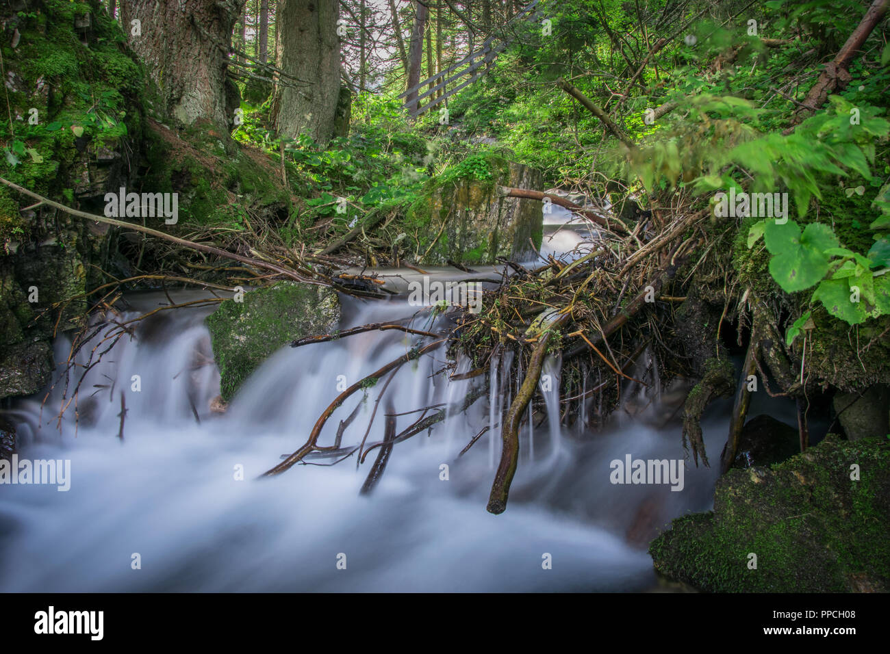 Il movimento visibile di questo flusso è molto ammirevole Foto Stock