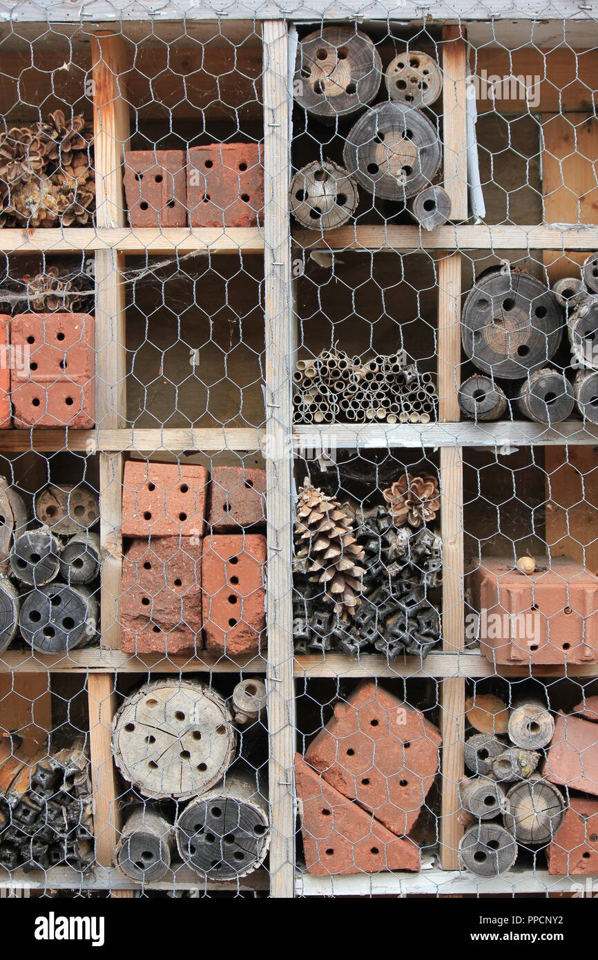 Varietà di texture e di fori offerto come un ape casa di nesting e di richiamo per mason api. Foto Stock