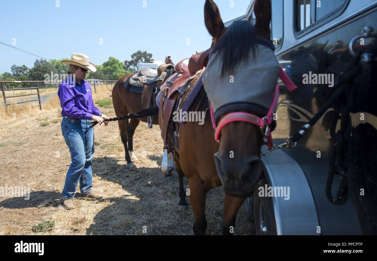 Master Sgt. Tania McGuire, 349 Forza squadrone di supporto primo sergente, trecce il suo cavallo di coda in modo da il suo cavallo non passo su di essa durante un concorso di taglio a Lincoln, California, il 7 settembre 2, 2018. Il taglio è di tipo occidentale competizione equestre in cui un cavallo e cavaliere a lavorare come una squadra davanti a un giudice o giuria per dimostrare il cavallo di atletica e la capacità di gestire il bestiame durante un ​2 1⁄2 minuti di prestazioni, chiamato un 'run'. Ogni partecipante è assistito da quattro assistenti: due sono designati come turnback aiutano a tenere il bestiame da acceso a spento il retro dell'arena, e gli altri due sono Foto Stock